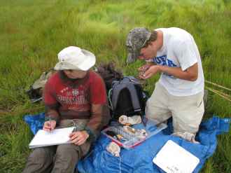 researchers-biologists-working-in-the-field
